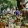 people at a table with plants and flowers